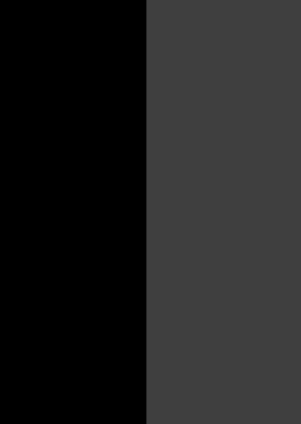 SILVER & BLACK