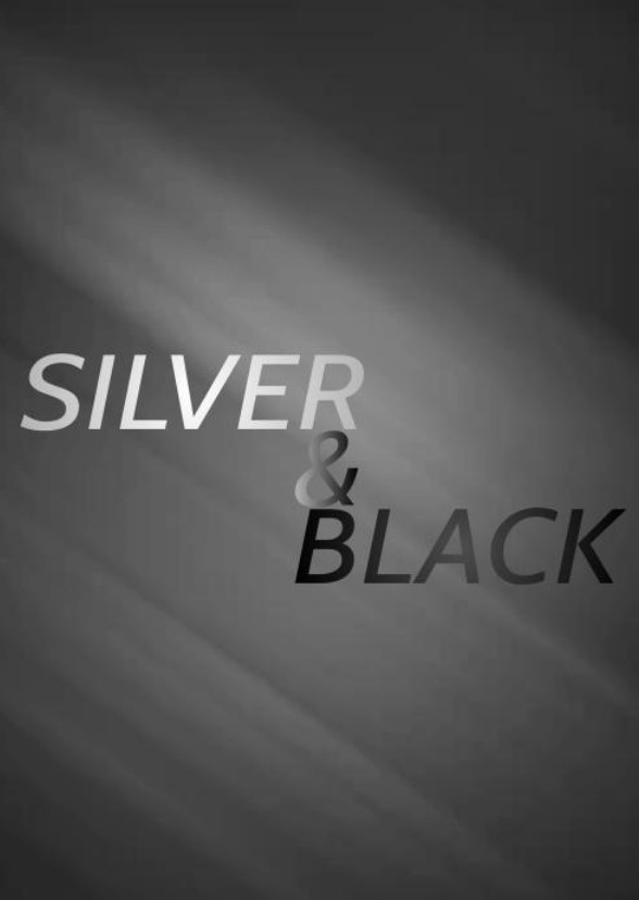 Silver/Black