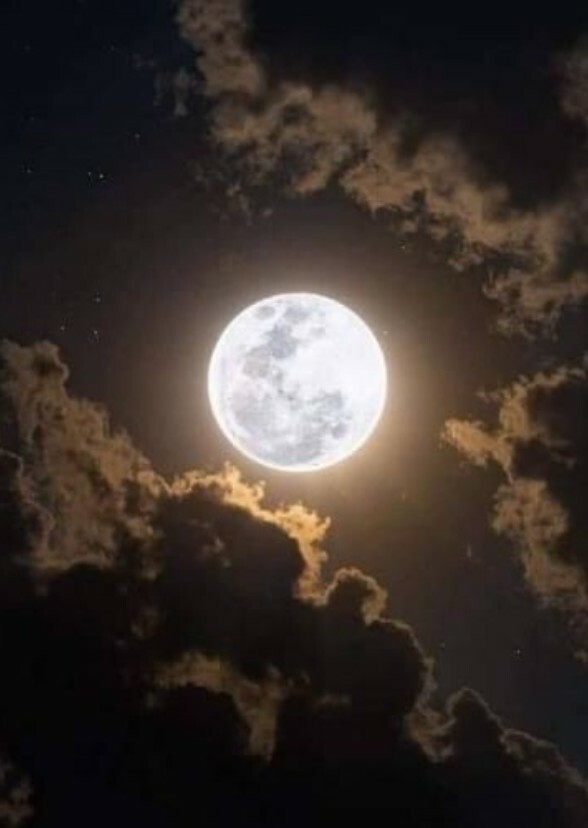 Silver Moon
