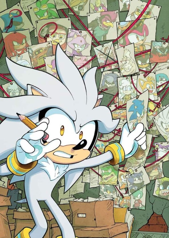 Silver The Hedgehog (An Video Game)