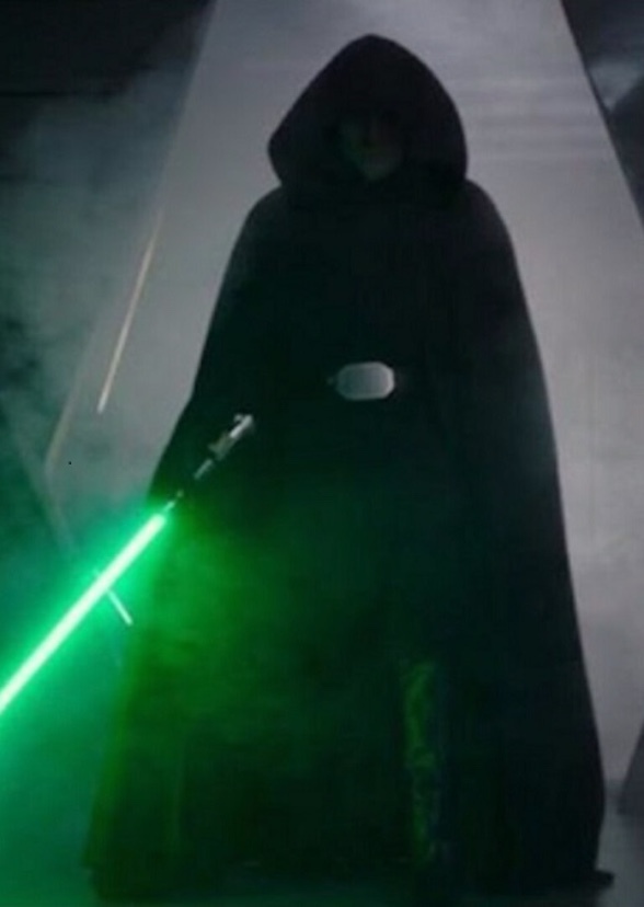 Skywalker: Cloak of Deception