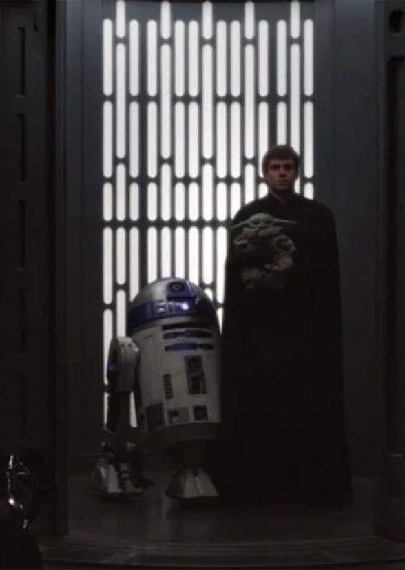 Skywalker: The Tale of the Chosen One
