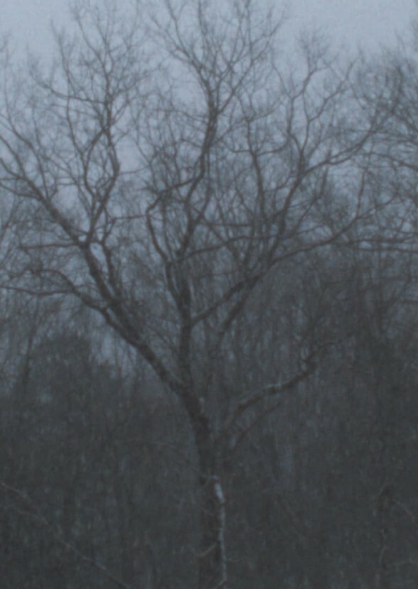 Snowfall(2013)