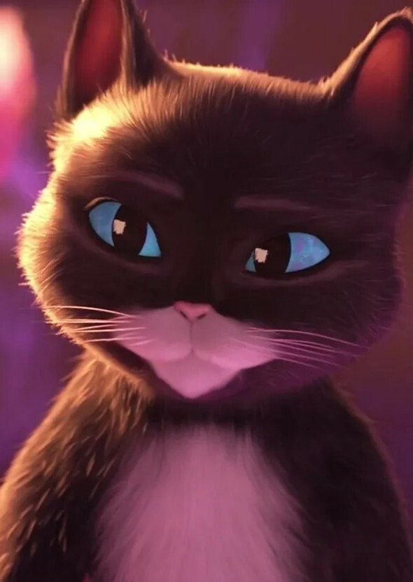 Softpaws
