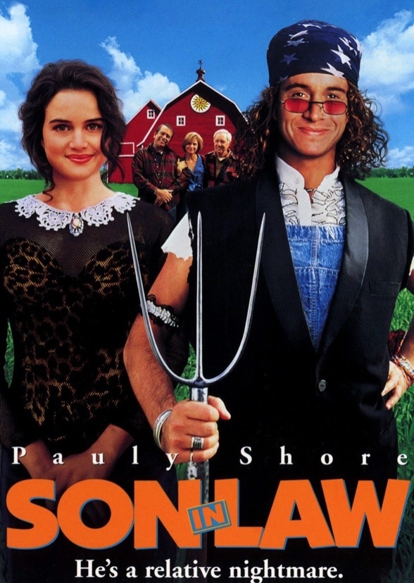 Son In Law (Remake)