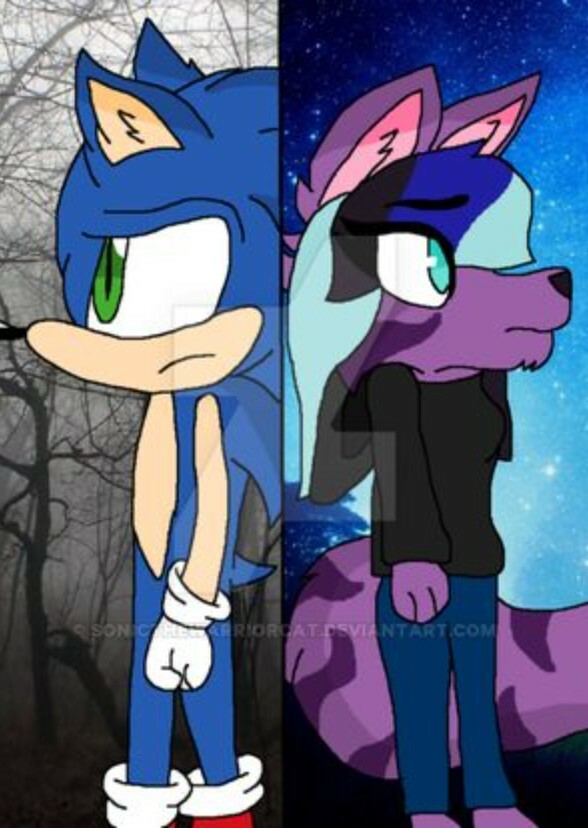 Sonic and Teegan: The War of Piece