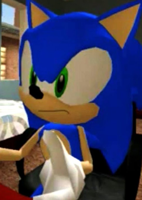 Sonic in Glitch-Hog