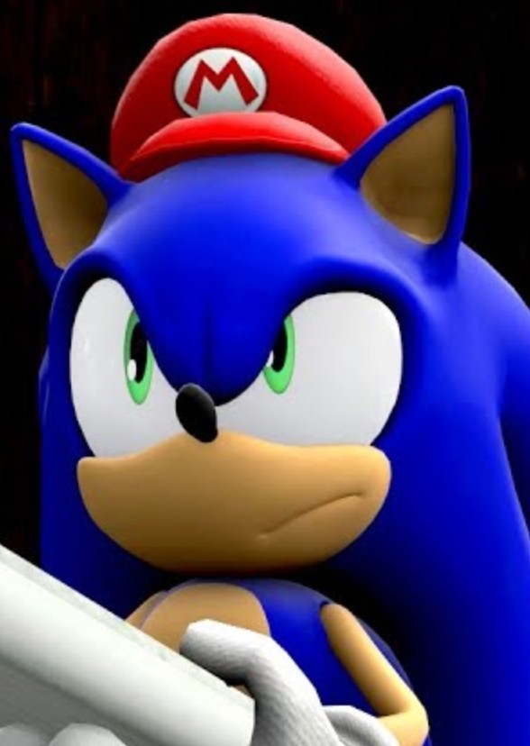 Sonic in Pizza-Hog