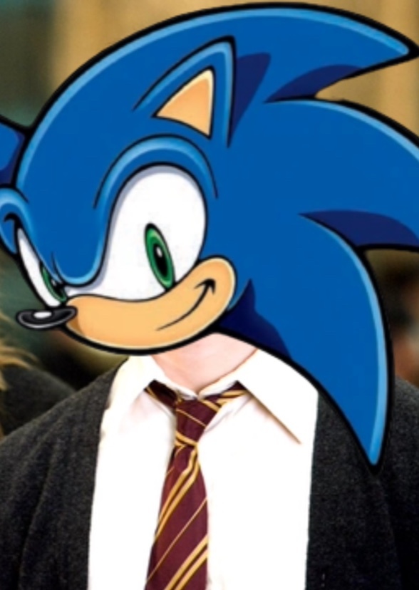 Sonic Potter