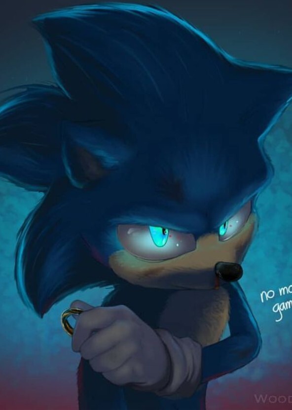 Sonic Story (My Version Casting)