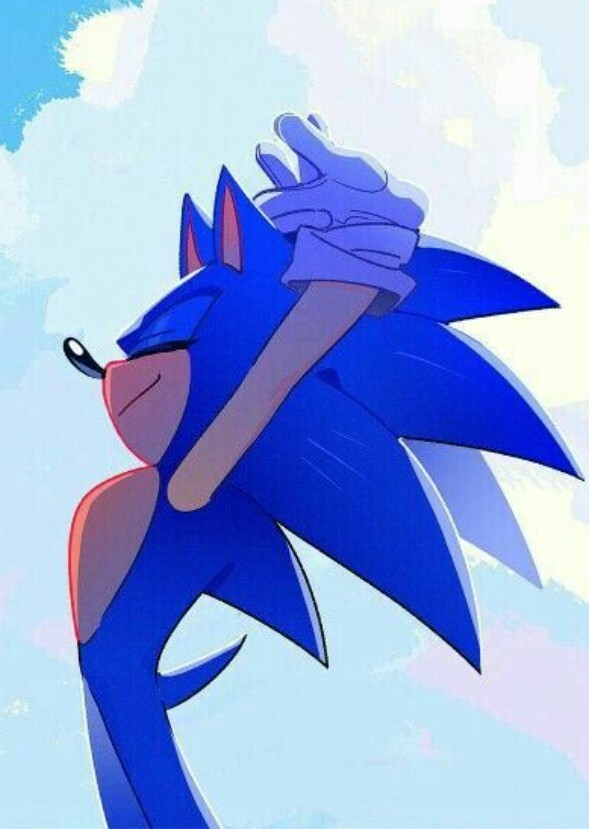Sonic And The Freedom Fighters (Season One)