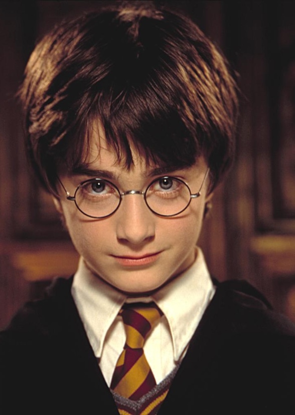 Sonic The Hedgehog characters as Harry Potter characters