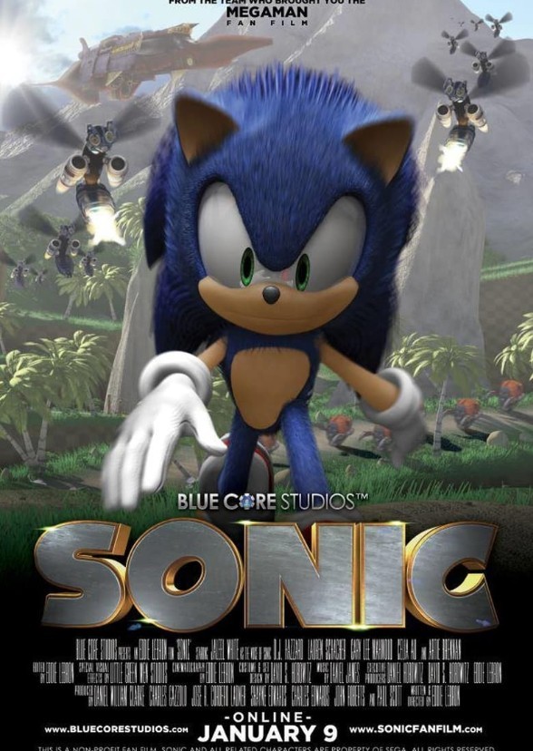 Sonic the  Hedgehog 