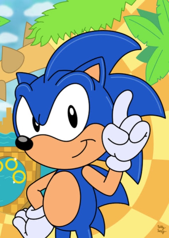 Sonic The Hedgehog (Warner Bros series) (1990’s)