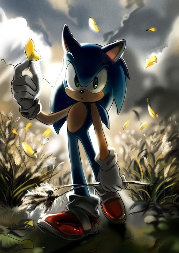 SONIC HERO OF WAR
