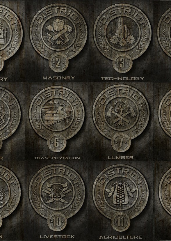 Sorting Fictional Characters Into Hunger Games Districts