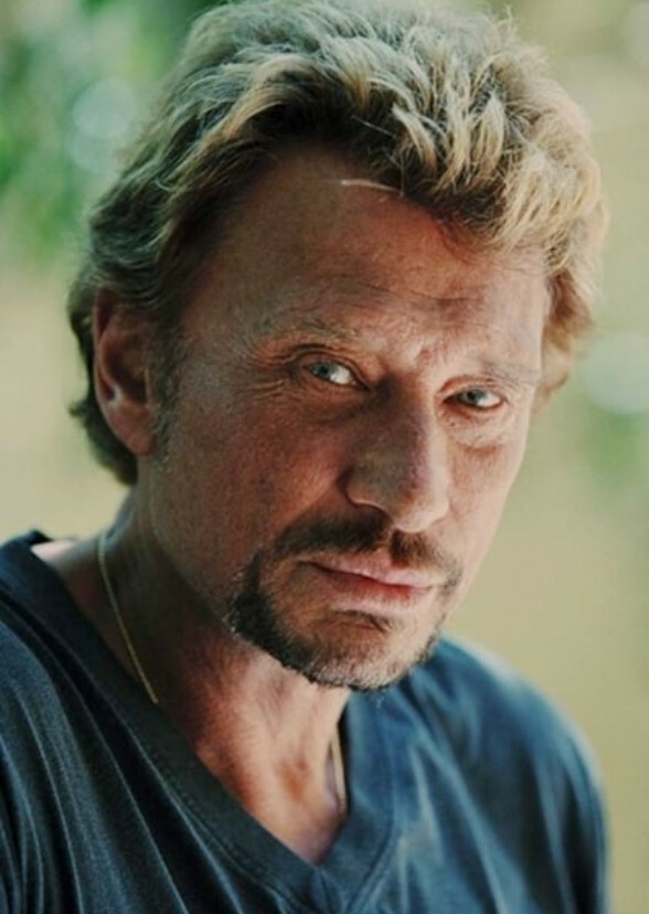 Soul on Fire: The Johnny Hallyday Chronicles