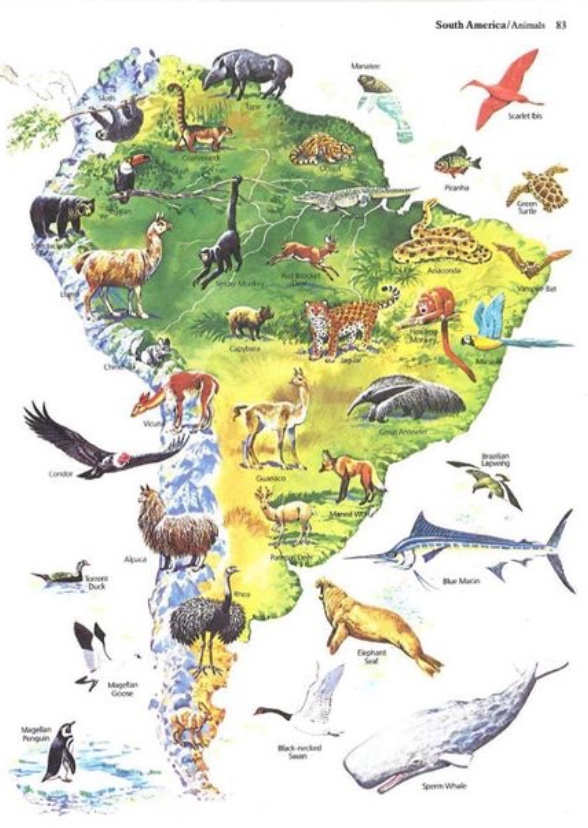 South America 