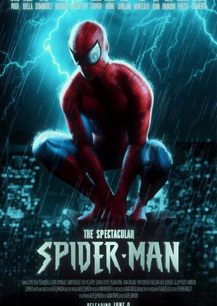 Spectacular Spider Man Fan Casting Poster
