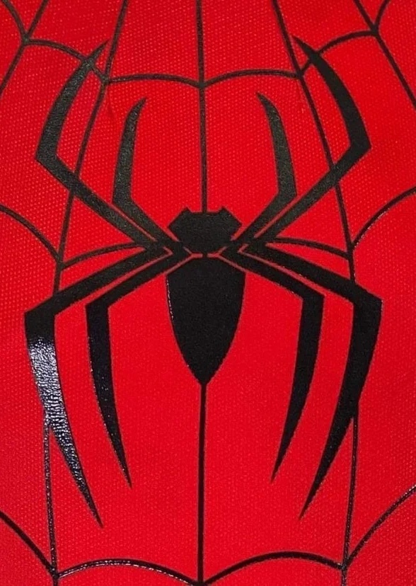 Spider-Man (2012)