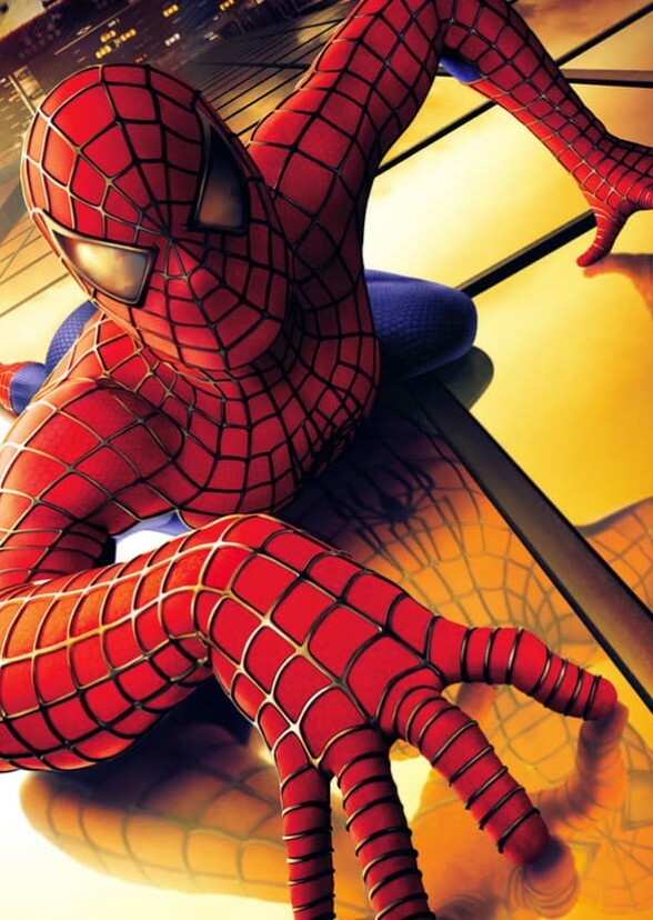 Spider-Man 4 (2010)