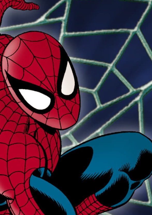 Spider man 4