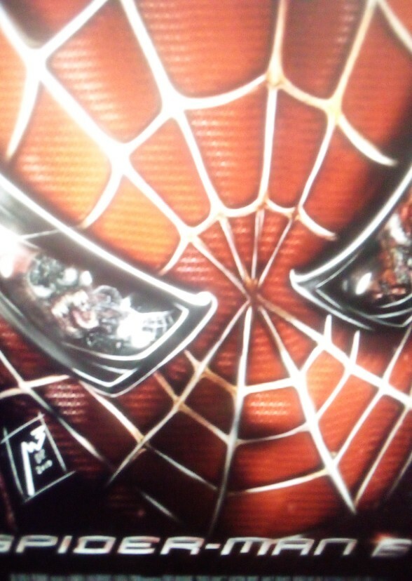 Spider-Man 6 (2013)