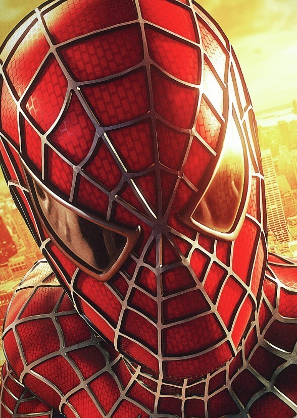 Spider-Man 6 (2013)
