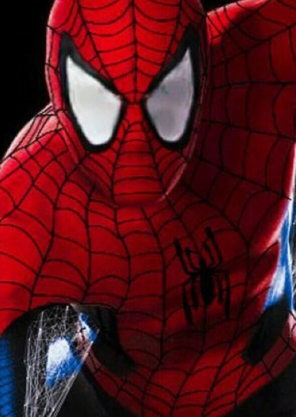 Spider-Man: Beginning 