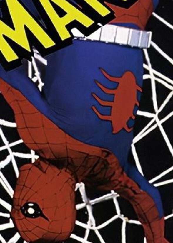 Spider-Man: Birth Of Venom (2013)