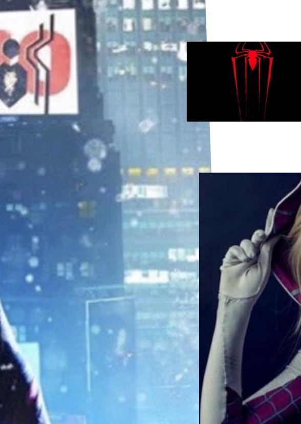 Spider Man : Home Alone