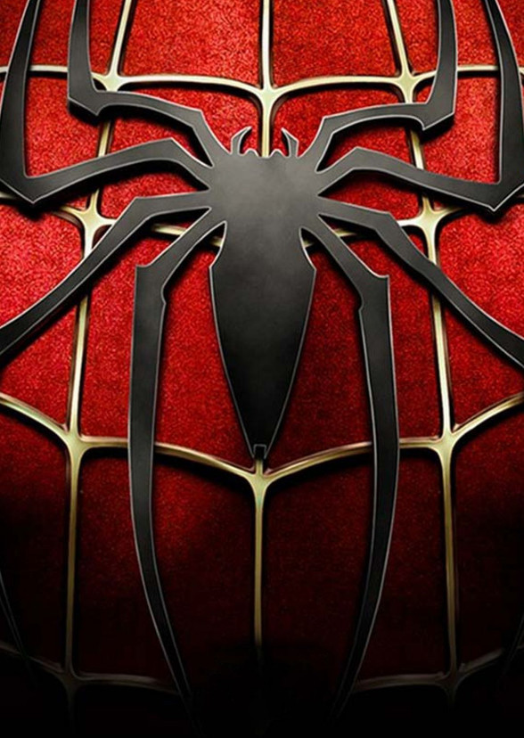 Spider Man: Home At Last