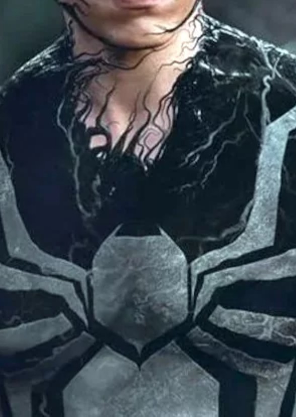 Spider-Man Home Invasion
