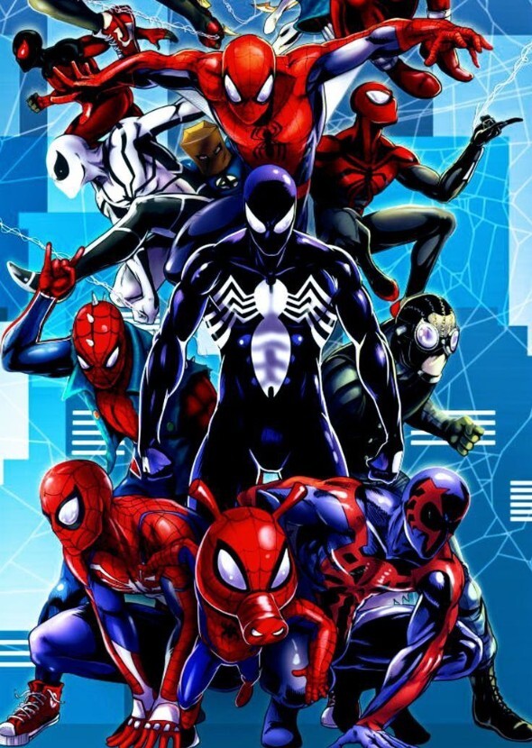 Spider-man into the multiverse