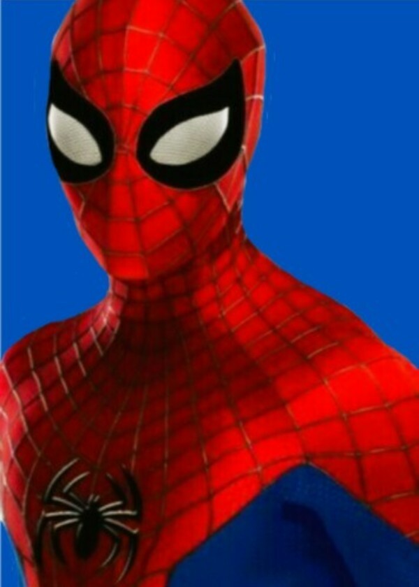 Spider-Man: Into The Spider-Verse (2011)