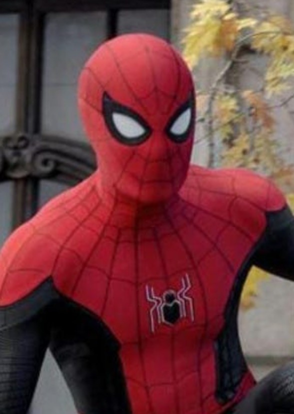 Spider-Man: Negative Perspectives Fan Cast