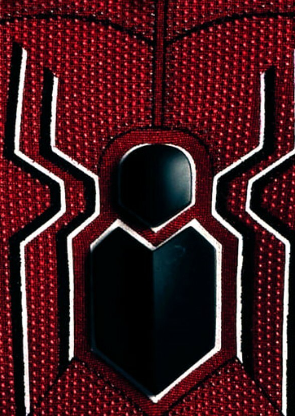 Spider-Man Reach Home (2025)