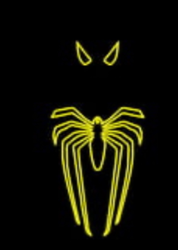 Spider-Man Returns by Patty Jenkins