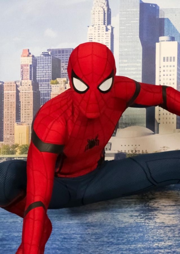 Spider-Man (The Motion Series)