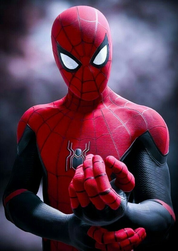 Spider-Man : The Musical