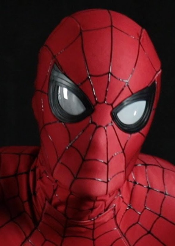 Spider-Man (The Perfect Cast)