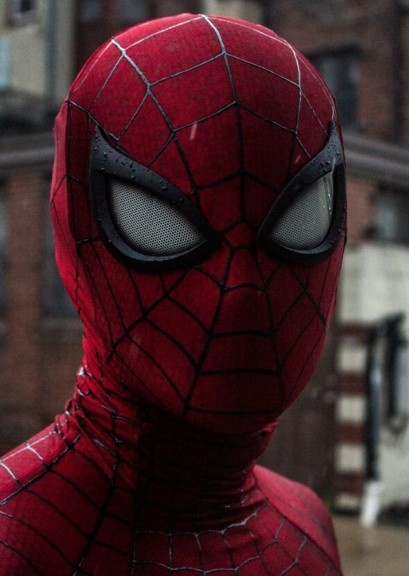 Spider-Man: The Series