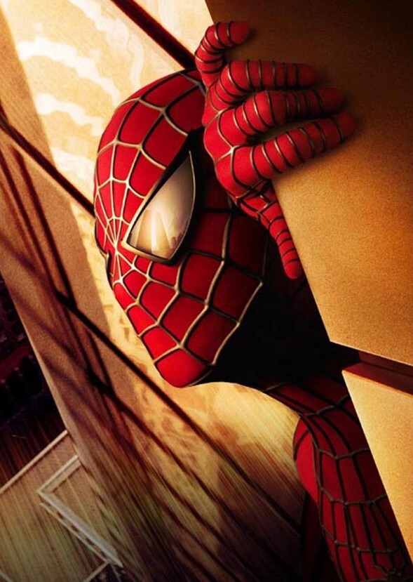 Spider-Man: Web of Power (2002):