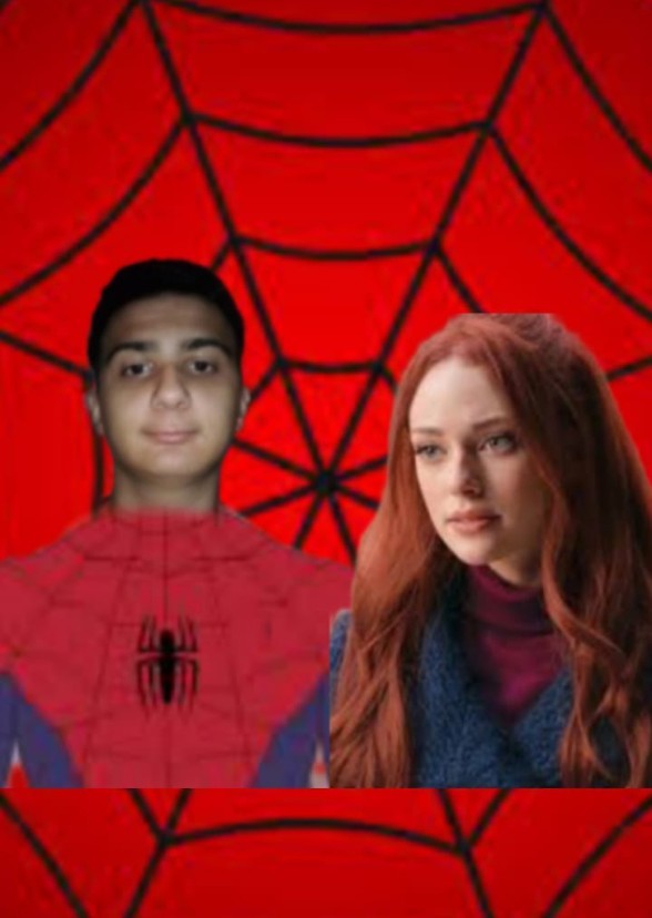 Spiderman : Future Hero 