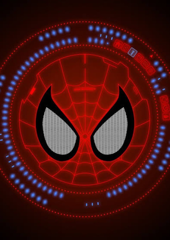 Spiderman into the spiderverse