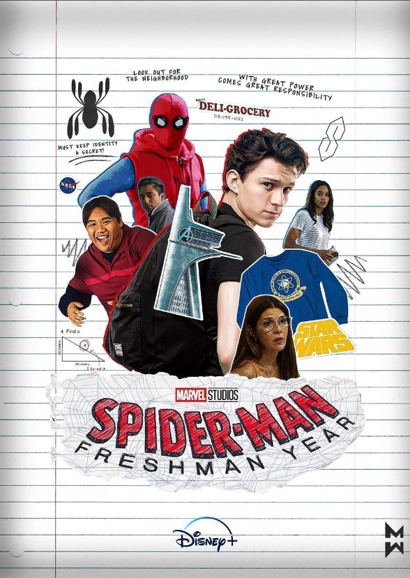Spiderman : the next  series after No Way Home