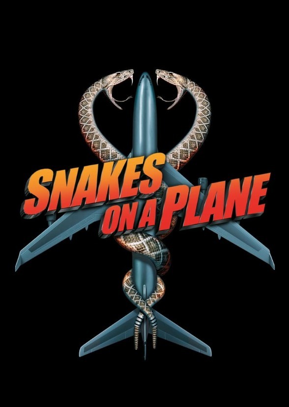 Spiders on a Plane(2009)