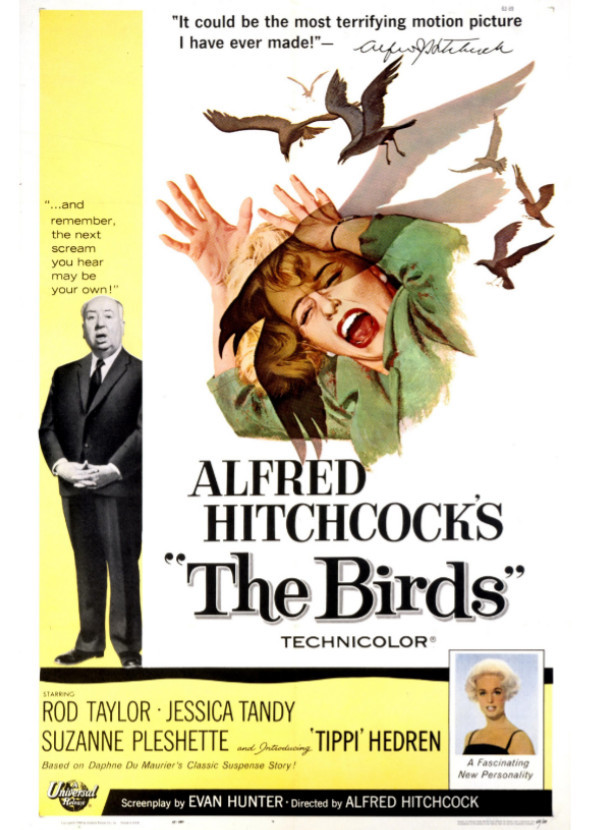 Stanley Kubrick's The Birds