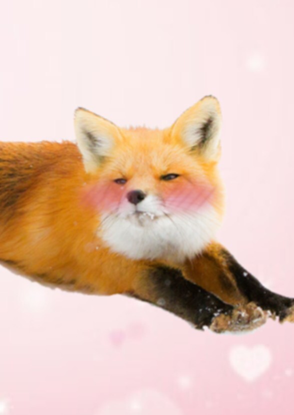 Star Fox Dating Simulator