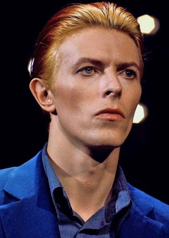 Stardust: The David Bowie Story